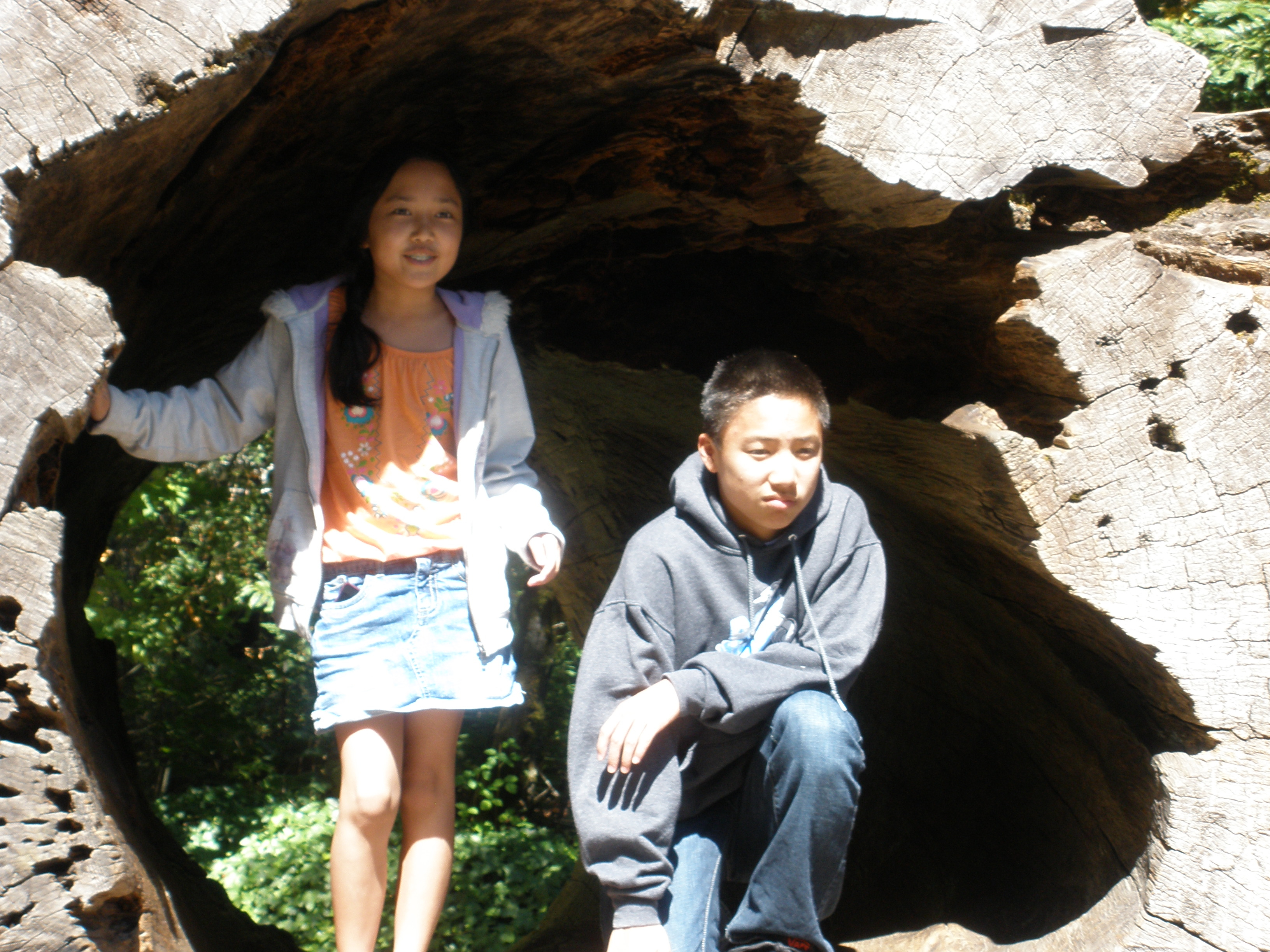 Summer, 2012, with Kara, Andrew and Madeline - Avenue of the Giants - 15